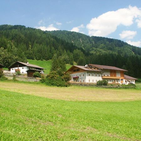 Villa Unterbergerhof à Val di Vizze Extérieur photo